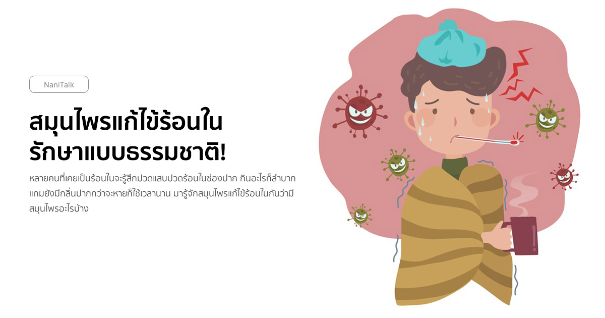 10 สมุนไพรแก้ไข้ร้อนใน รักษาแบบธรรมชาติ!