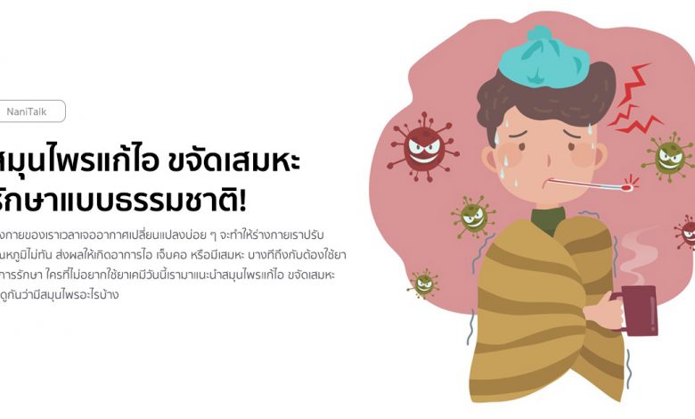 สมุนไพรแก้ไอ ขจัดเสมหะ รักษาแบบธรรมชาติ!