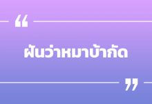 ฝันว่าหมาบ้ากัด ฝันว่าหมาบ้ากัดมือ พร้อมเลขเด็ด!