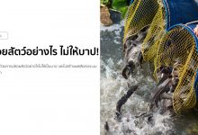 ปล่อยปลา ปล่อยสัตว์อย่างไร ไม่ให้บาป!