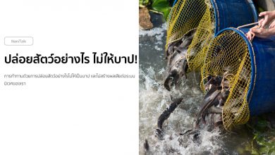 ปล่อยปลา ปล่อยสัตว์อย่างไร ไม่ให้บาป!