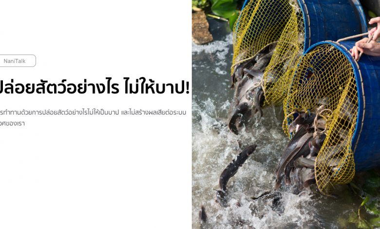 ปล่อยปลา ปล่อยสัตว์อย่างไร ไม่ให้บาป!