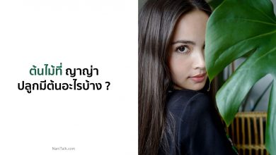 6 ต้นไม้ที่ ญาญ่า อุรัสยา ปลูกมีต้นอะไรบ้าง ?