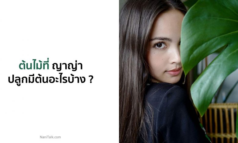 6 ต้นไม้ที่ ญาญ่า อุรัสยา ปลูกมีต้นอะไรบ้าง ?