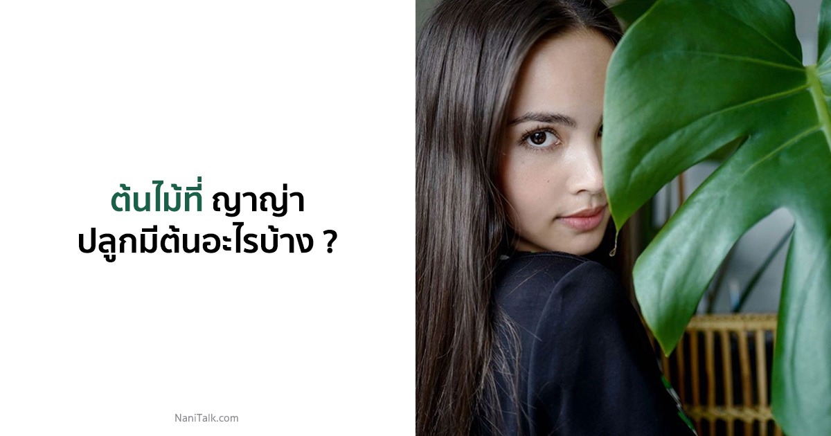 6 ต้นไม้ที่ ญาญ่า อุรัสยา ปลูกมีต้นอะไรบ้าง ?