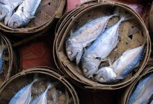ปลาทู (Short mackerel) ปลาของชาติที่มีประโยชน์มากมาย!