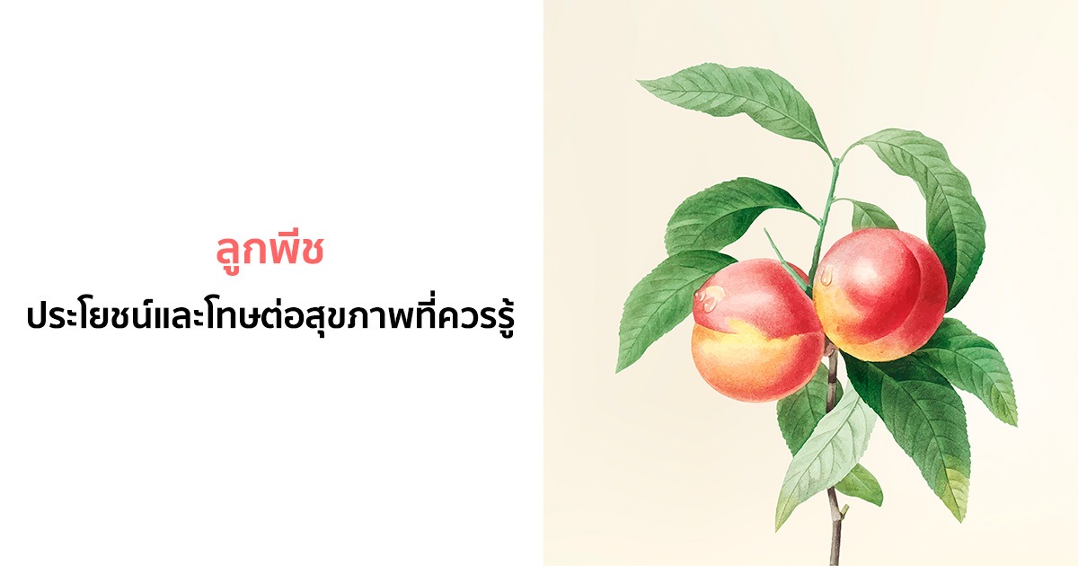 ลูกพีช (Peach) ประโยชน์และโทษต่อสุขภาพที่ควรรู้