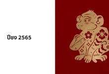 ปีชง 2565 / 2022 (ปีขาล) มีปีอะไรบ้าง พร้อมวิธีแก้ปีชง