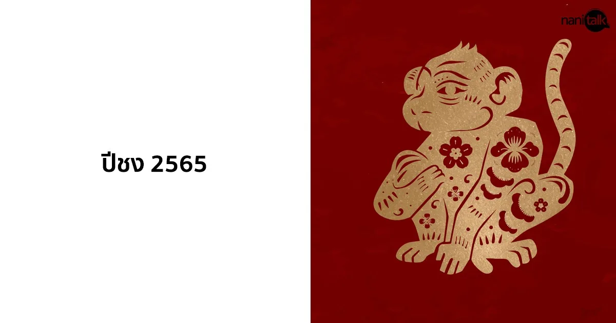 ปีชง 2565 / 2022 (ปีขาล) มีปีอะไรบ้าง พร้อมวิธีแก้ปีชง