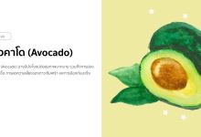 อะโวคาโด (Avocado) กินตอนไหนดีที่สุด มีประโยชน์อย่างไร ?