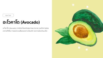 อะโวคาโด (Avocado) กินตอนไหนดีที่สุด มีประโยชน์อย่างไร ?