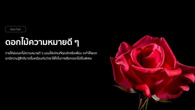 9 ดอกไม้ความหมายดี ๆ มอบให้คนที่คุณรัก!