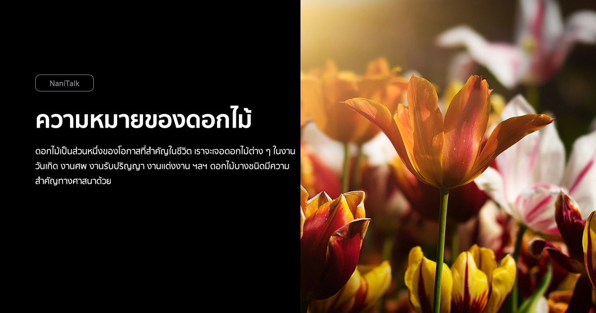 รวมความหมายของดอกไม้ ทั้งไทยและต่างประเทศ