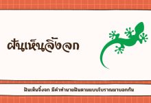 ฝันเห็นจิ้งจก ตุ๊กแก หมายถึงอะไร ตีเป็นเลขเด็ด!