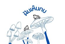 ฝันเห็นกบหลายตัว หมายถึงอะไร ตีเป็นเลขเลขเด็ด!