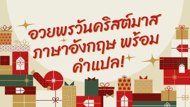 50 อวยพรวันคริสต์มาส ภาษาอังกฤษ พร้อมคําแปล!