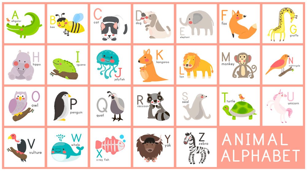 ตัวอักษร A-Z พยัญชนะอังกฤษ (English Alphabet) 26 ตัว!