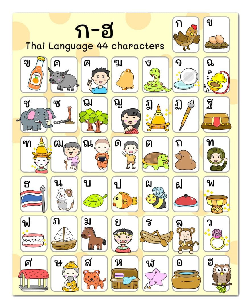 ตัวอักษร ก-ฮ พยัญชนะไทย (Thai Alphabet) 44 ตัว!