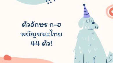 ตัวอักษร ก-ฮ พยัญชนะไทย (Thai Alphabet) 44 ตัว!
