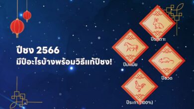 ปีชง 2567/2024 มีปีอะไรบ้าง พร้อมวิธีแก้ปีชง!