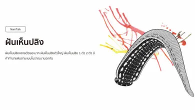 ฝันเห็นปลิงหลายตัวเยอะมาก หมายถึงอะไร พร้อมเลขเด็ด!