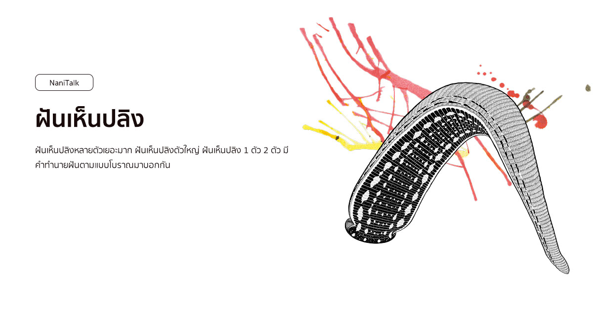 ฝันเห็นปลิงหลายตัวเยอะมาก หมายถึงอะไร พร้อมเลขเด็ด!