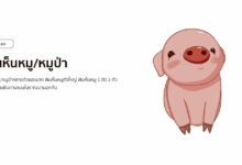 ฝันเห็นหมูหลายตัวเยอะมาก หมายถึงอะไร พร้อมเลขเด็ด!