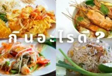 แนะนําอาหารตามสั่ง วันนี้เราจะกินอะไรดี ?