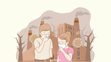 ทำความเข้าใจ AQI: คือคู่มือดัชนีคุณภาพอากาศและผลต่อสุขภาพ