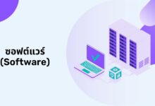 ซอฟต์แวร์ (Software): คืออะไร มีอะไรบ้าง