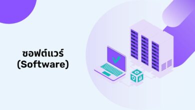 ซอฟต์แวร์ (Software): คืออะไร มีอะไรบ้าง