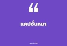 30 แคปชั่นหมา ๆ หมาหัวเน่า ตลก ๆ กวน ๆ