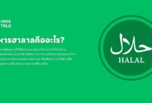 อาหารฮาลาลคืออะไร? รู้จักกับความหมายและหลักการฮาลาล