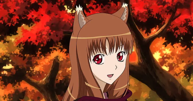 อนิเมะไวฟุ (Waifus) ตัวละคร Holo เรื่อง Spice and Wolf