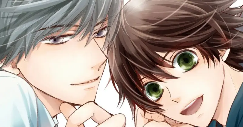 การ์ตูนอนิเมะวาย (Yaoi) เรื่อง Junjou Romantica