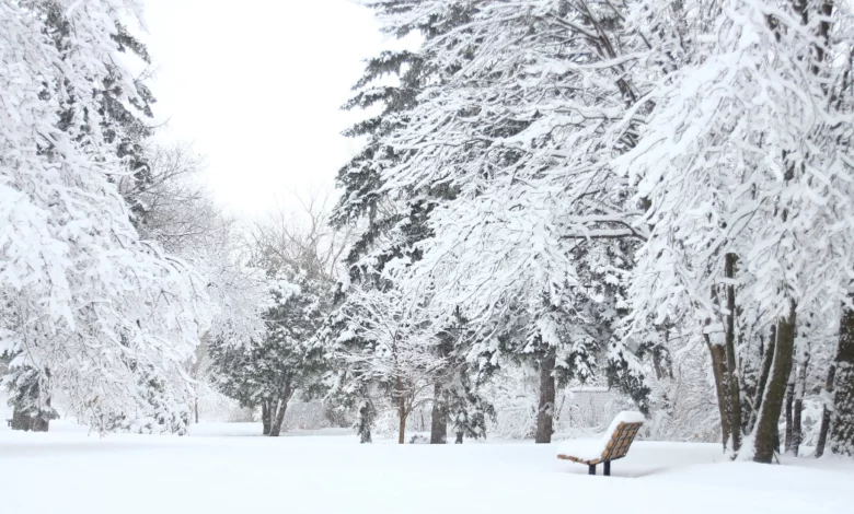หิมะเกิดจากอะไร? ปรากฏการณ์ทางธรรมชาติอันน่าทึ่ง