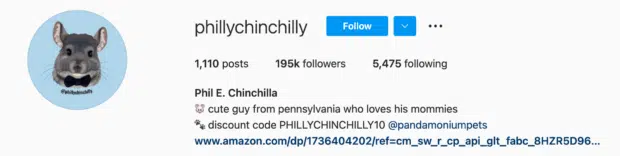 Phillychinchilly Instagram Bio