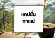 คำคมแคปชั่นร้านกาแฟกวน ๆ โดนใจสายกาแฟ โพสต์แล้วดูมีสไตล์