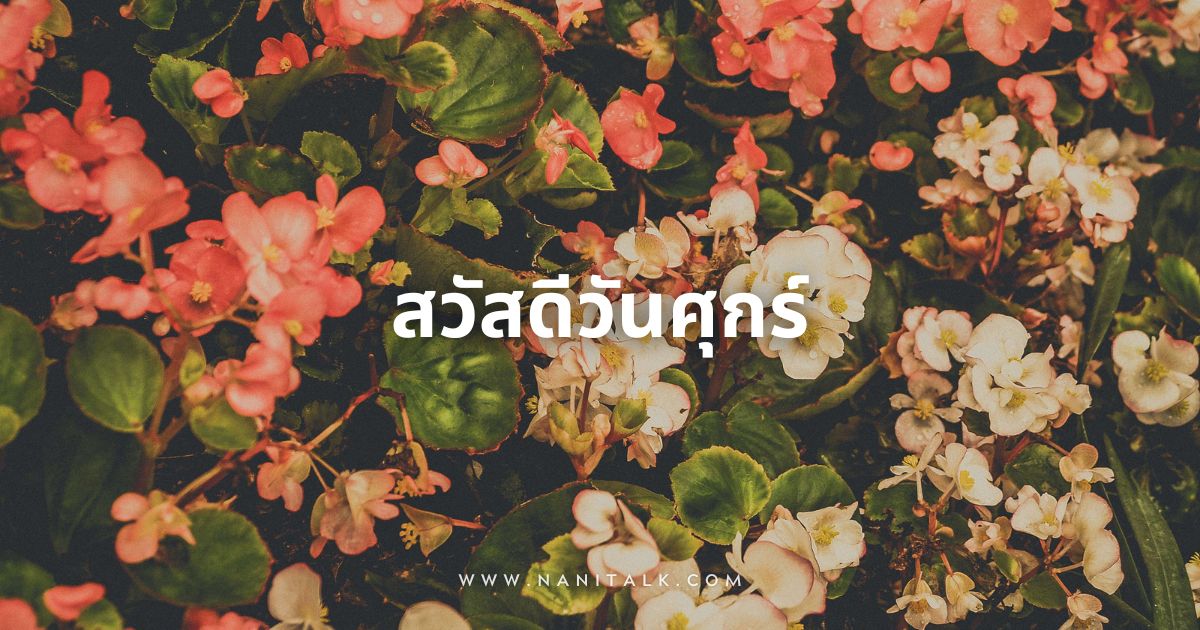 10 รูปภาพสวัสดีวันศุกร์ดอกไม้สวย ๆ ใหม่ ๆ