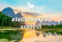 10 รูปภาพสวัสดีวันพฤหัสบดีธรรมชาติสวยงาม เติมพลังบวก!
