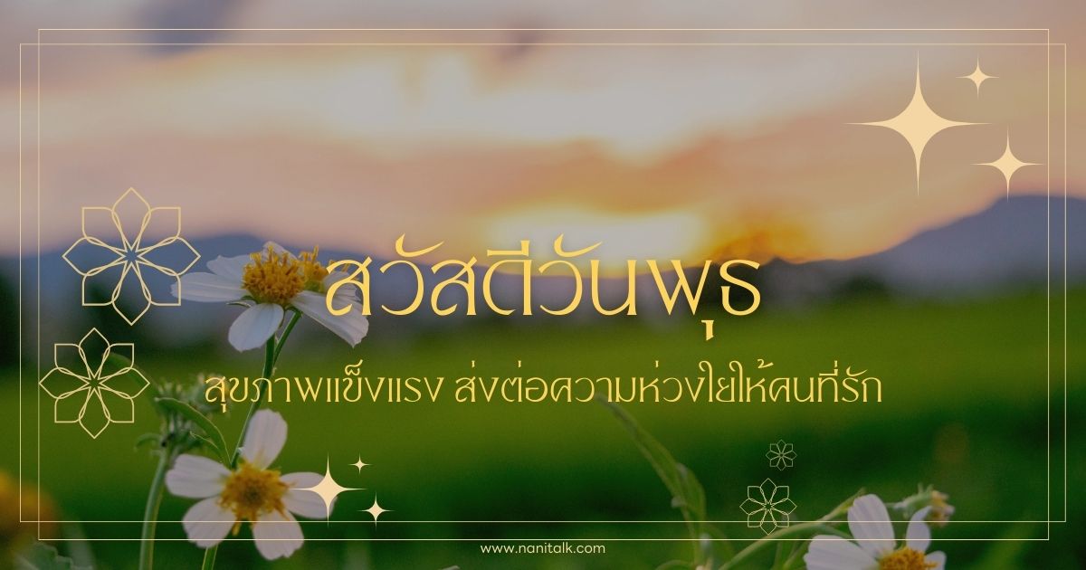 10 รูปสวัสดีวันพุธ สุขภาพแข็งแรง ส่งความห่วงใยให้คนที่รัก!