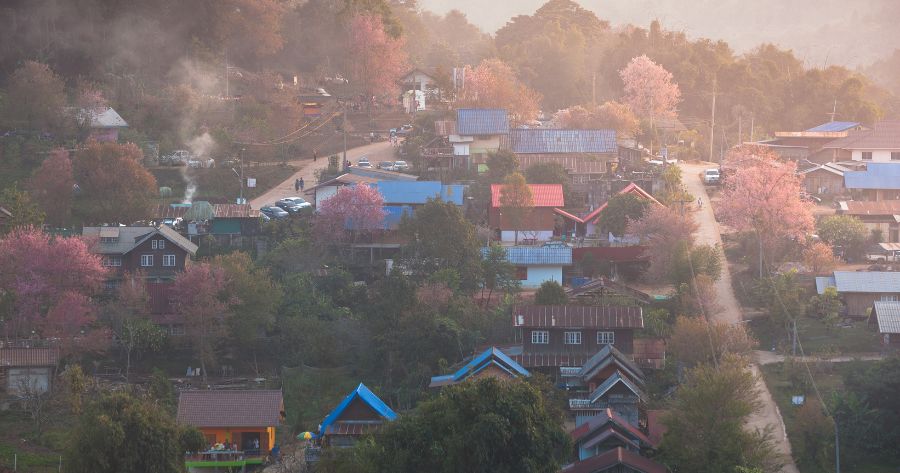 ที่เที่ยวหน้าหนาว หนาวนี้เที่ยวไหนดี ภูลมโล จังหวัดเลย