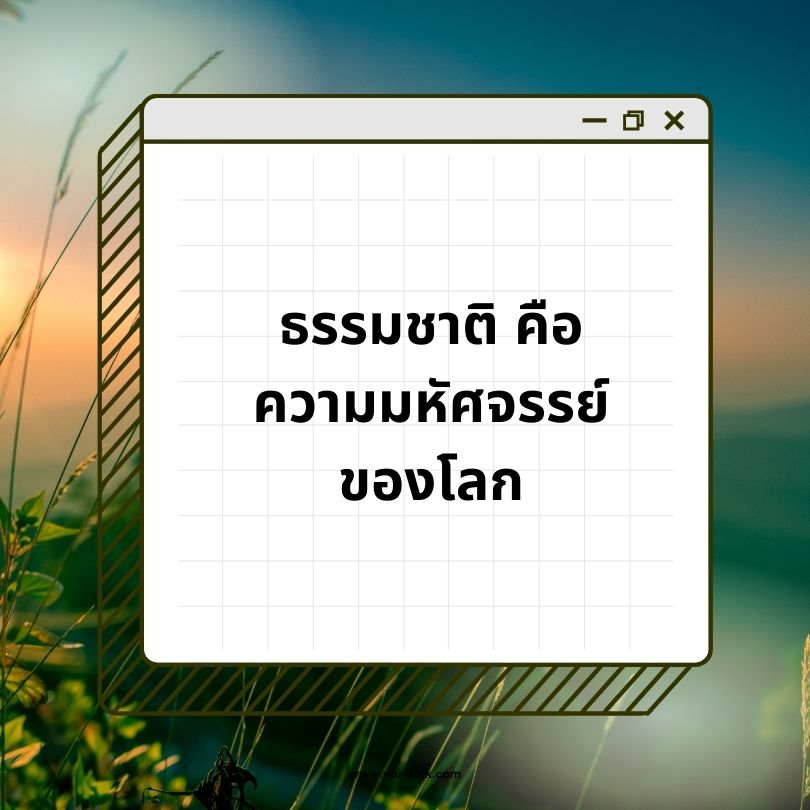 แคปชั่นพักผ่อนธรรมชาติ