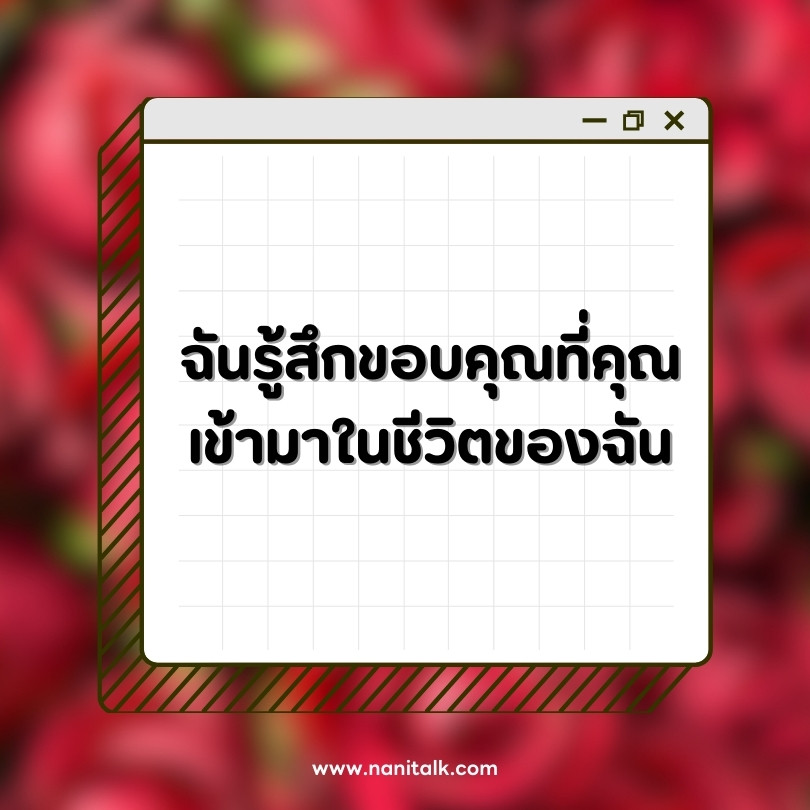 คําอวยพรวันวาเลนไทน์: ฉันรู้สึกขอบคุณที่คุณเข้ามาในชีวิตของฉัน