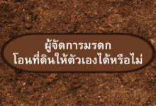 ผู้จัดการมรดก โอนที่ดินให้ตัวเอง