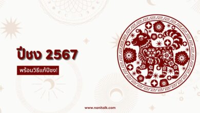 ปีชง 2567 เตรียมรับมือกับเคราะห์ร้าย แก้ชงอย่างไรให้ปัง!