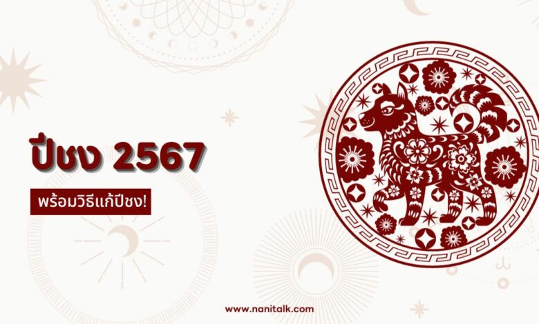 ปีชง 2567 เตรียมรับมือกับเคราะห์ร้าย แก้ชงอย่างไรให้ปัง!