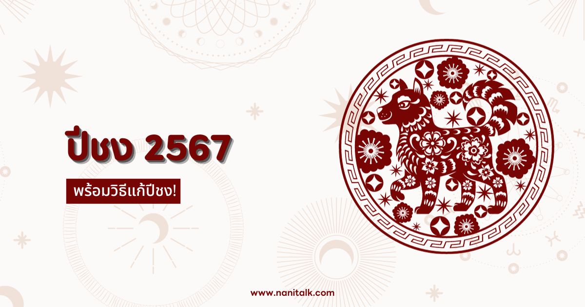 ปีชง 2567 เตรียมรับมือกับเคราะห์ร้าย แก้ชงอย่างไรให้ปัง!