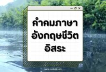 50 คําคมภาษาอังกฤษชีวิตอิสระสั้นๆ พร้อมแปลไทย!