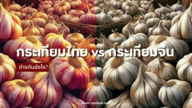 กระเทียมไทย vs กระเทียมจีน ต่างกันยังไง? เลือกแบบไหนดี?